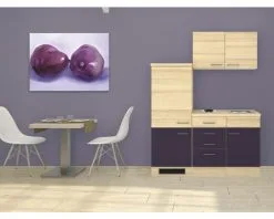 Flex-Well FLEX WELL Minikeuken Met Apparatuur Focus Acacia En Aubergine Mat 160x60 Cm